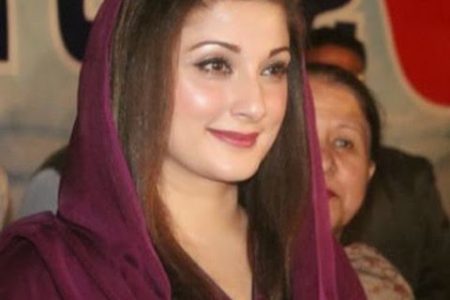 مریم نواز کو پارٹی نائب صدارت سے ہٹانے کا فیصلہ موخر