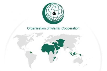 مقبوضہ کشمیر کی خصوصی حیثیت کے خاتمے کیخلاف پاکستان کو پہلی سفارتی کامیابی