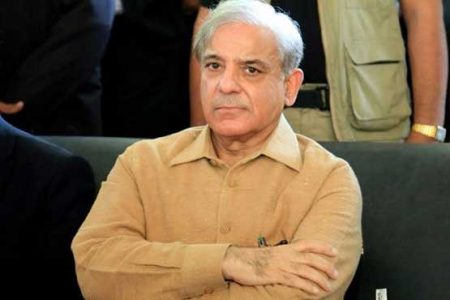 ”شہبازشریف کو اپنا آپ وزیراعظم بنتا ہو ا نظر آ رہاہے اور ۔۔“ سینئر صحافی سلیم صافی نے نہایت حیران کن دعویٰ