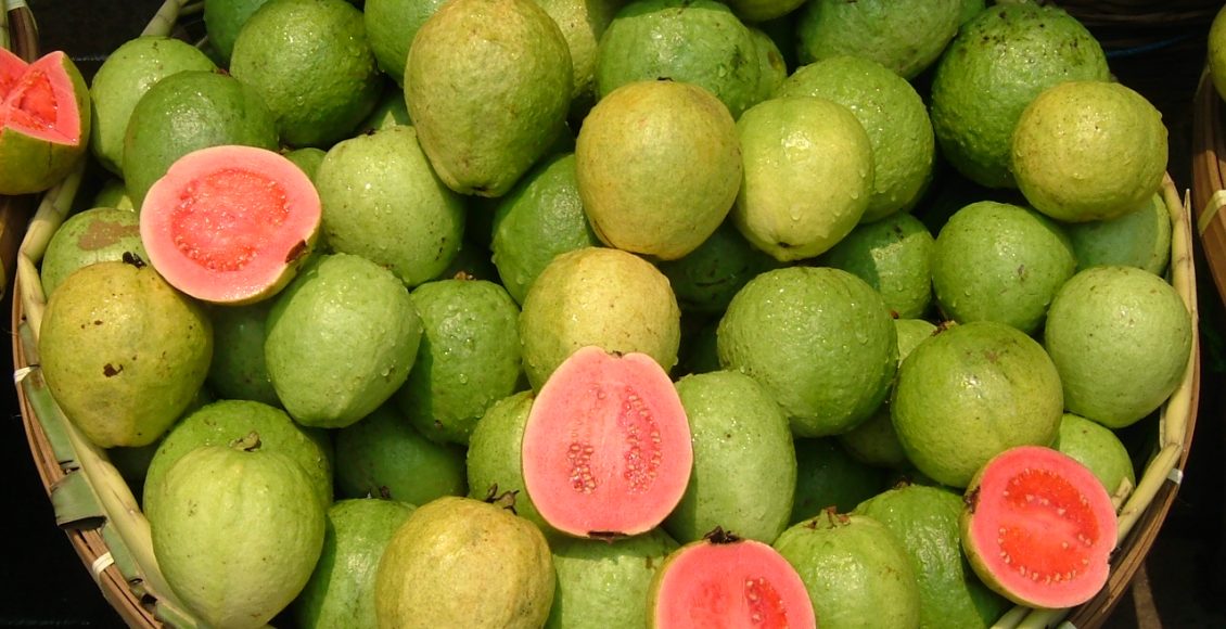 Guava